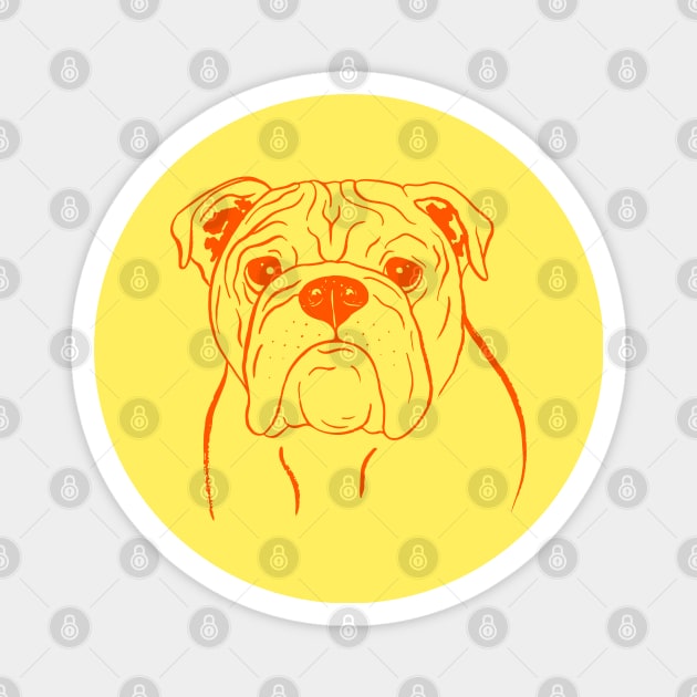 English Bulldog (Yellow and Orange) Magnet by illucalliart